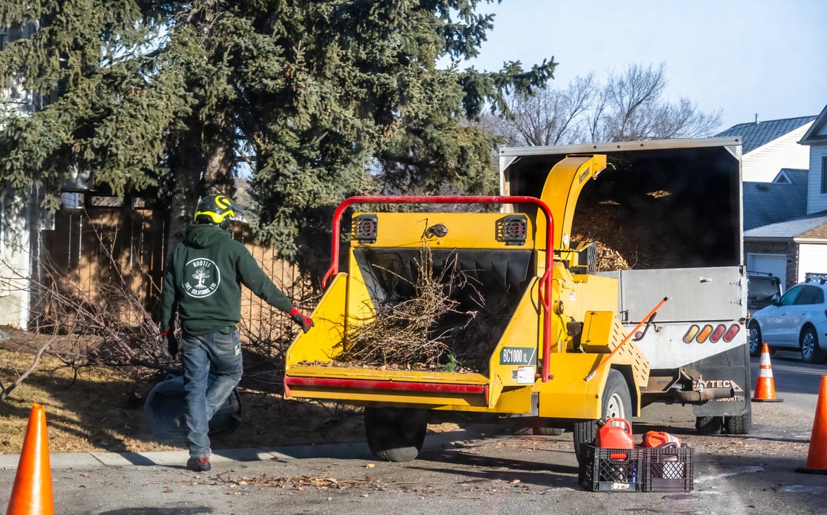 Arborist operating a wood chipper to process branches
