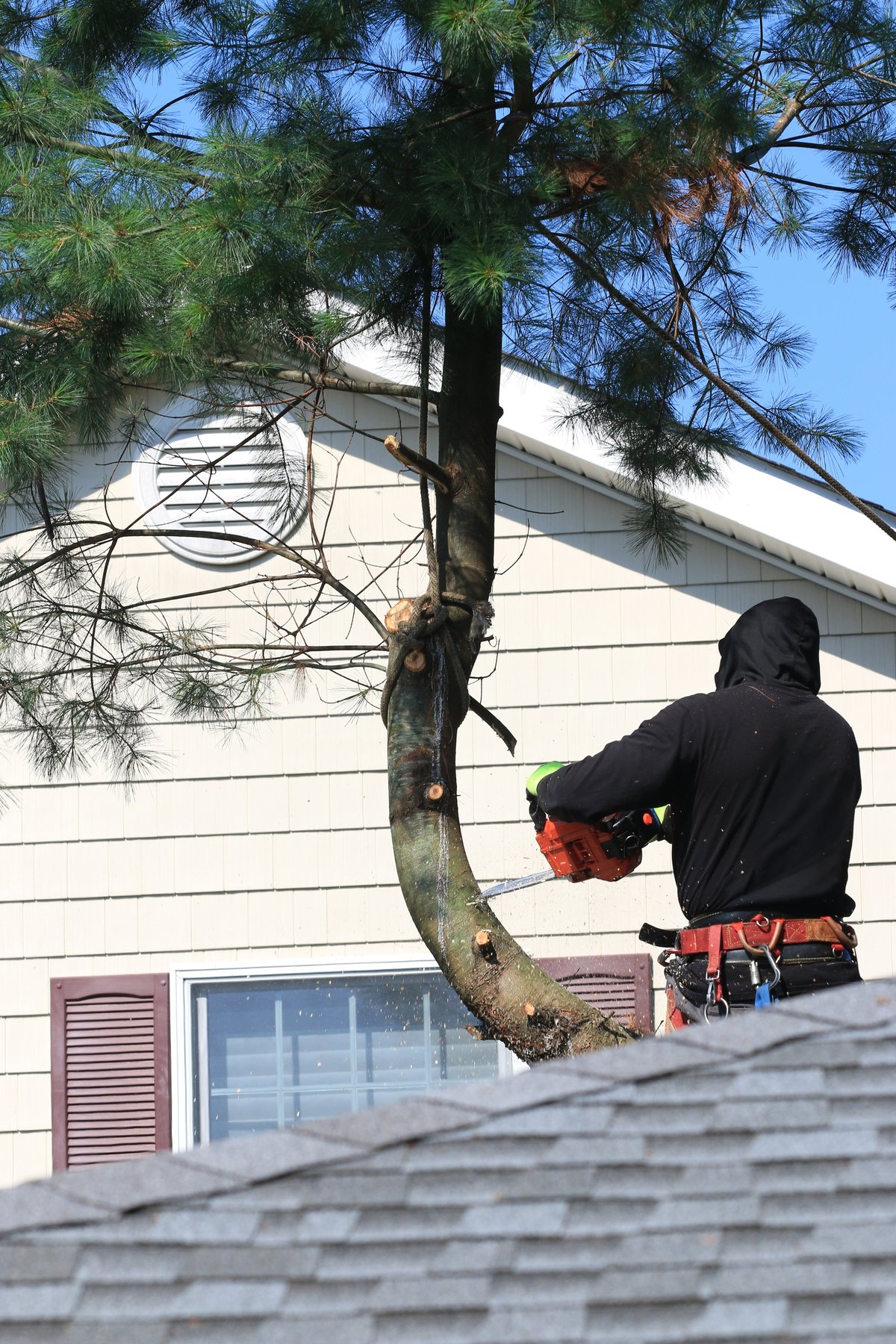 Man using a chainsaw to remove a tree branch above a house during daylight